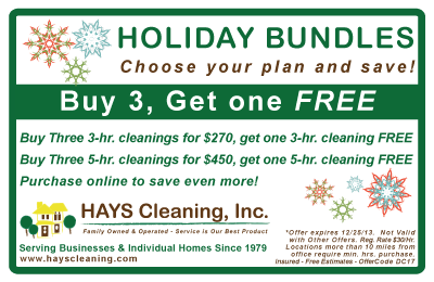 HAYS Cleaning Holiday Bundle
