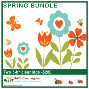 Spring Bundle - Two 5-hr cleanings for $280