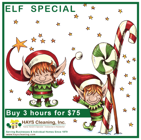 elf special buy 3 hours for $75